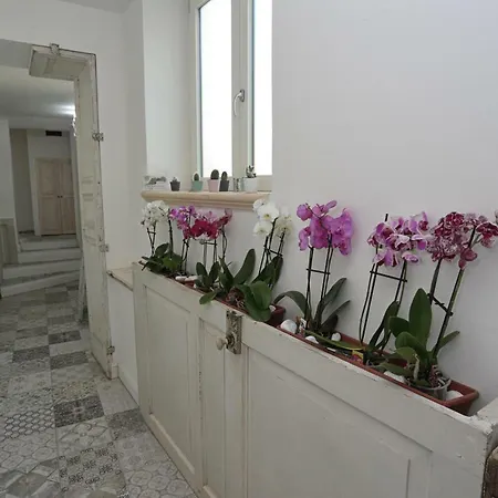 Angels'home *
